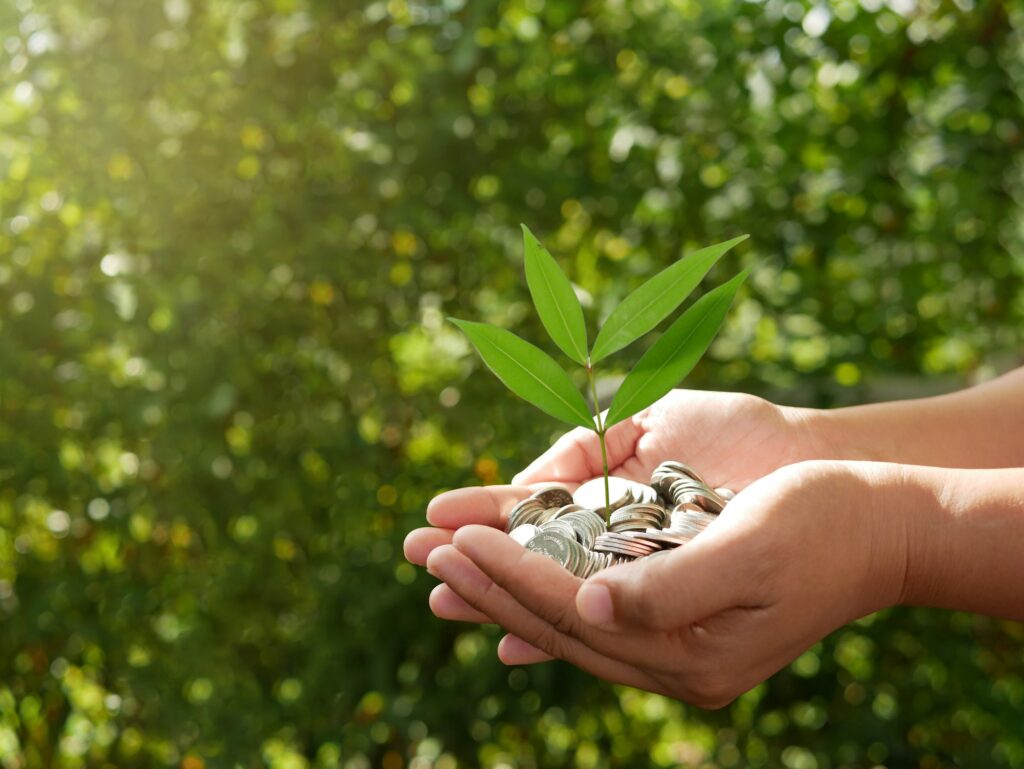 A plant sprouting from a handful of coins. Investment, finance, and accounting concept